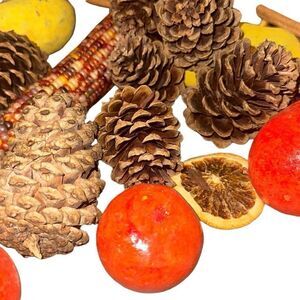 Lot of 48 Mixed Natural Dried Fruit Scented Pot Pourri Christmas Decoration
